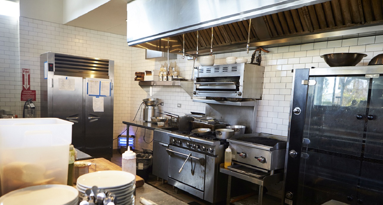 Commercial Pest Control